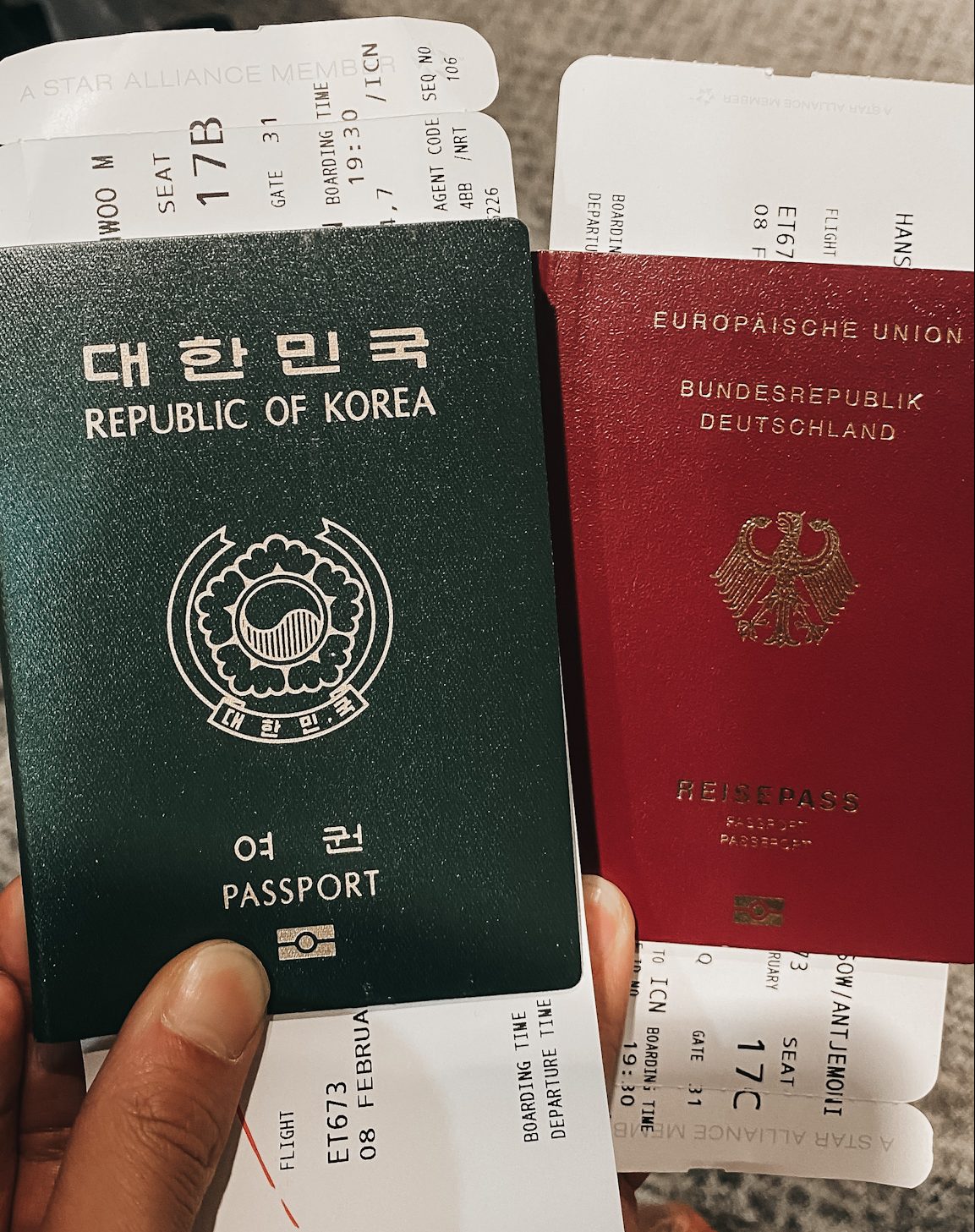 blog trip to korea