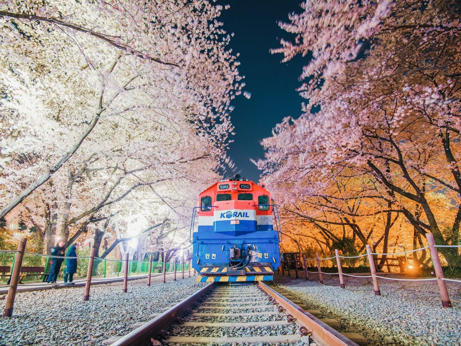 South Korea in March 2024 – Everything you need to know! – Next Stop: Korea