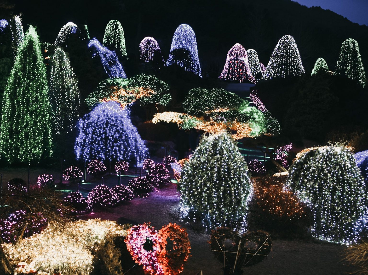 South Korea in March 2024 – Everything you need to know! – Next Stop: Korea