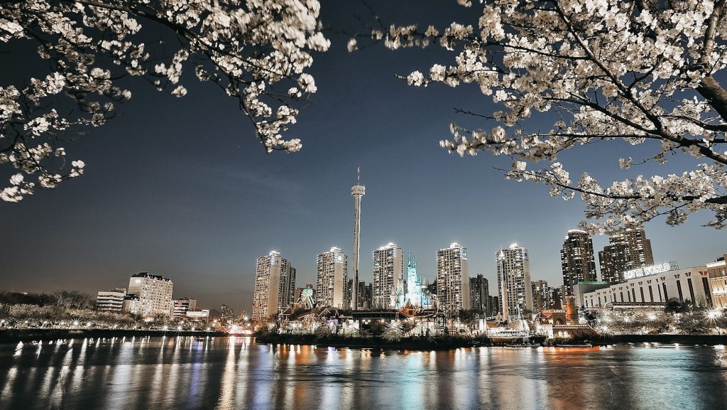Lotte World Cherry Blossom
