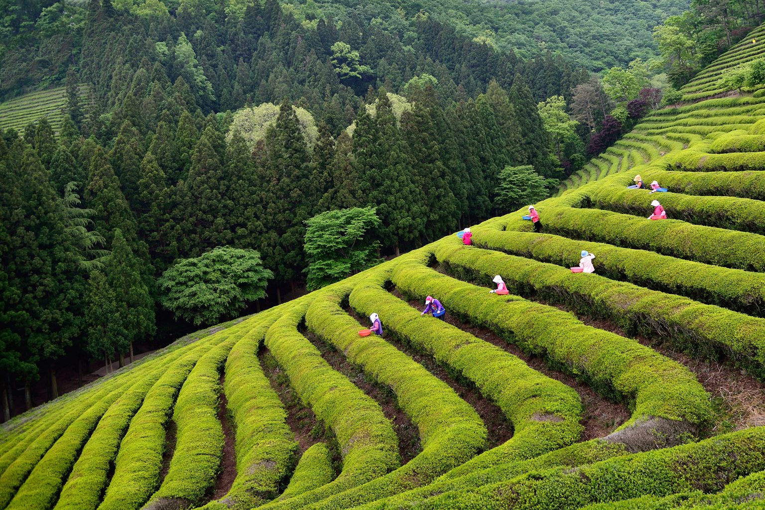 South Korea in May 2024 Everything you need to know! Next Stop Korea